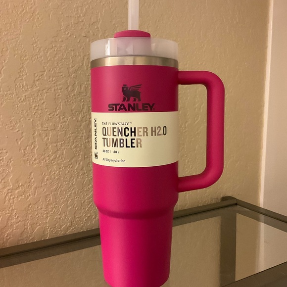 👀 PRICE DROP 👀 30oz Stanley (Fuscia) - Picture 1 of 4